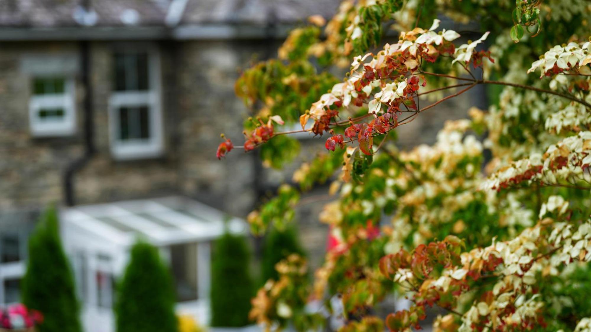 Tyn Y Fron 6 Bedroom House In Betws-Y-Coed Snowdonia Ngoại thất bức ảnh