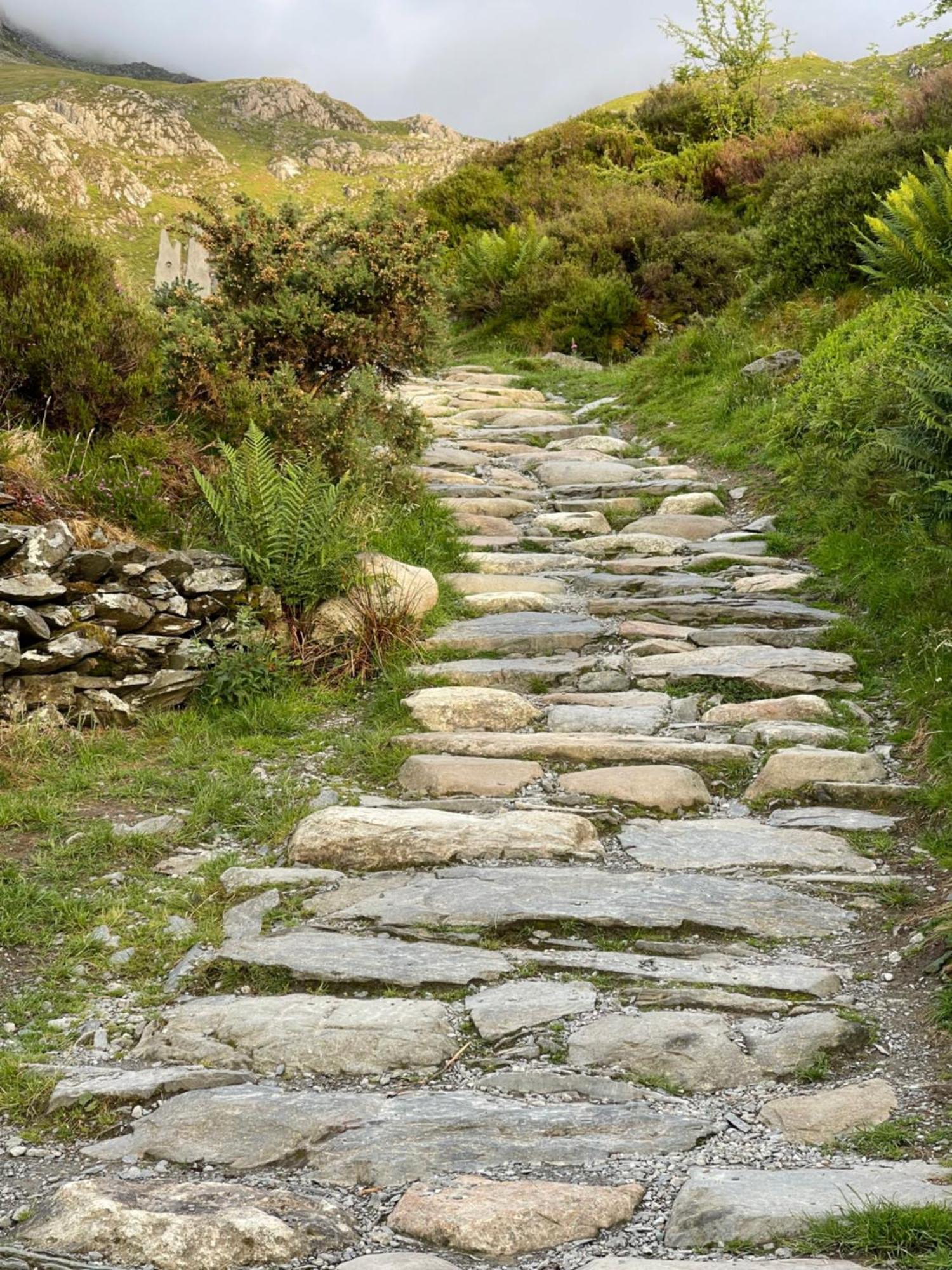 Tyn Y Fron 6 Bedroom House In Betws-Y-Coed Snowdonia Ngoại thất bức ảnh